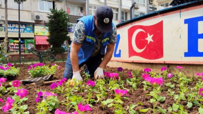 Akdeniz Belediyesi, baharın gelişiyle birlikte ilçe genelindeki yeşil alan, park