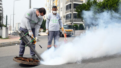 Mersin Büyükşehir Belediyesi Çevre Koruma ve Kontrol Dairesi ekipleri, kent
