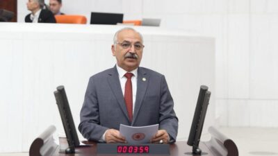 CHP Mersin Milletvekili Talat Dinçer, Türkiye’de artan orman yangınlarına ilişkin