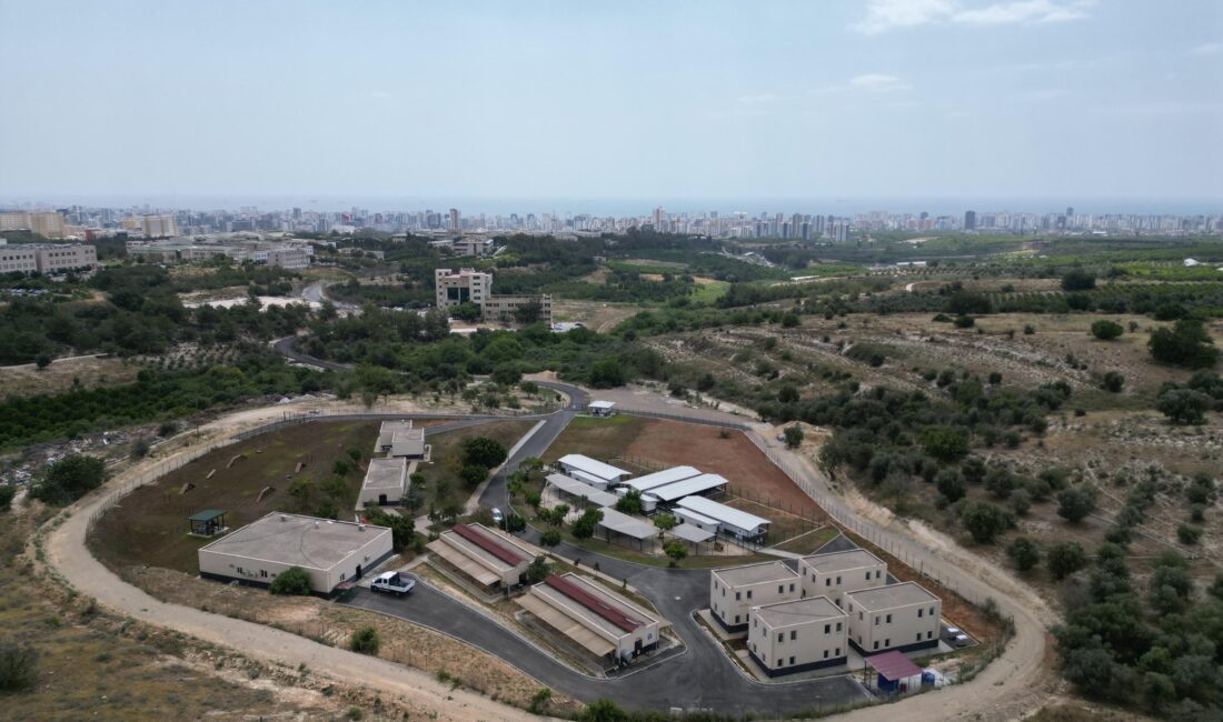 Yenişehir Belediyesi, 15 bin metrekarelik dev alanda kurduğu Geçici Hayvan