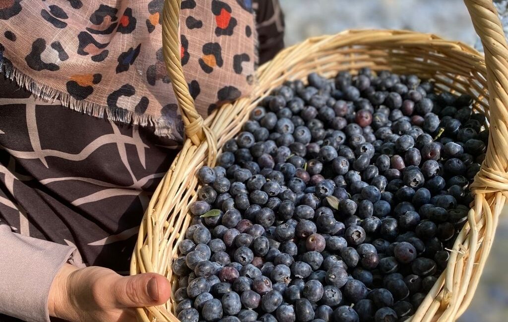 Tarımda katma değeri yüksek ürünlere yönelimin önemi bir kez daha