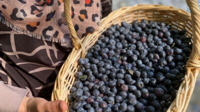 Tarımda katma değeri yüksek ürünlere yönelimin önemi bir kez daha