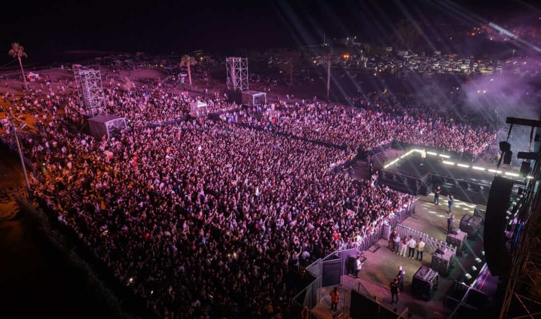 AK Parti Mersin Milletvekili Ali Kıratlı, Kültür ve Turizm Bakanlığı