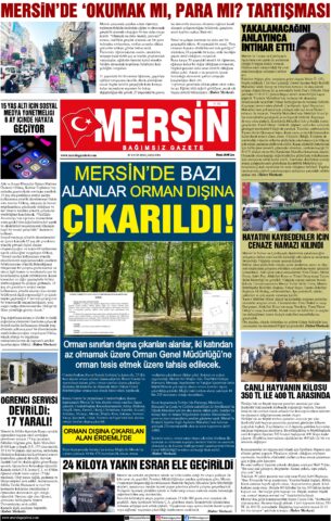 Yayın