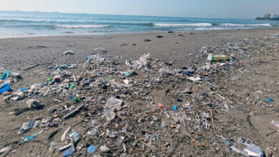 Mersin kıyılarında son günlerde gözle görülür şekilde artan plastik kirliliği,