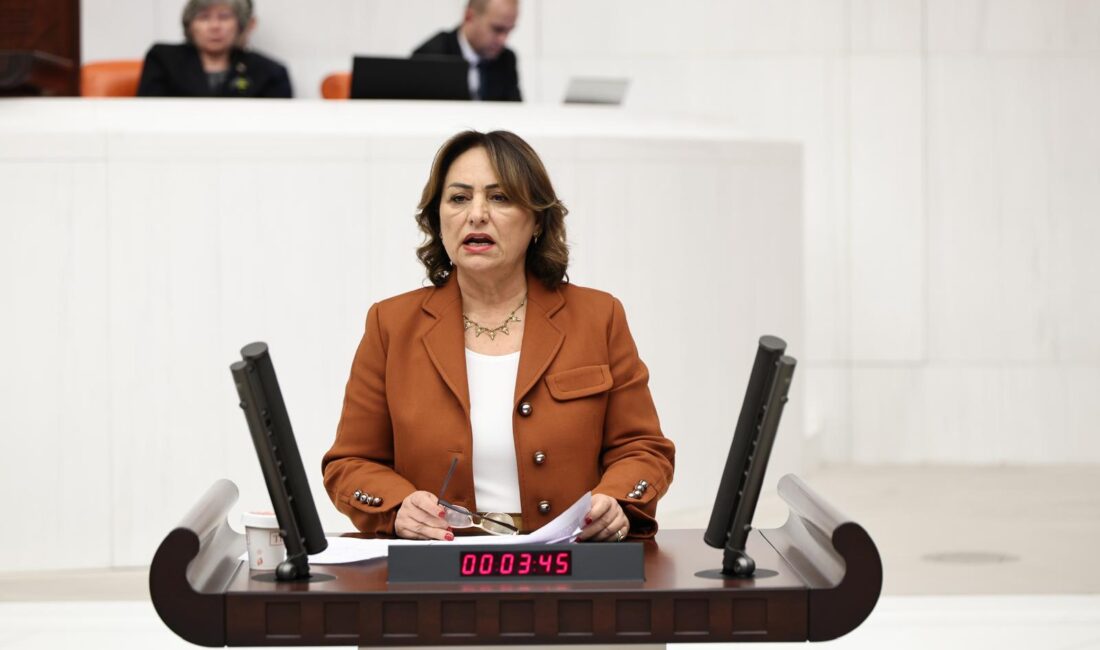 Cumhuriyet Halk Partisi (CHP) Adana Milletvekili, TBMM Başkanlık Divanı Üyesi,