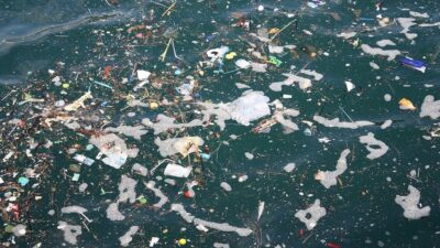 Mersin’de denizlerde giderek artan mikroplastik kirliliği, uzmanların uyarılarına rağmen kamuoyunda