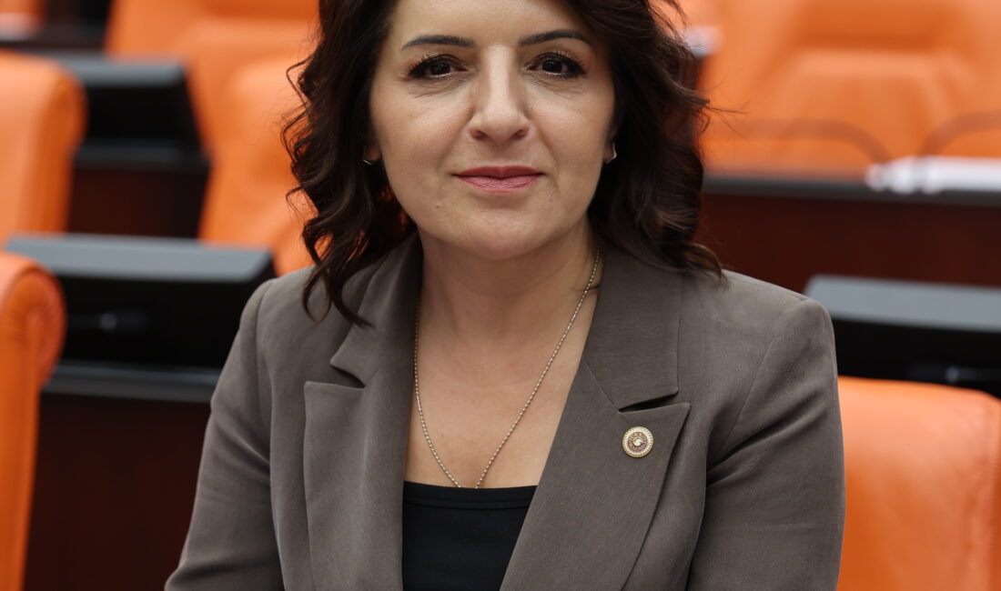 CHP Mersin Milletvekili Gülcan Kış, Türkiye Büyük Millet Meclisi Genel