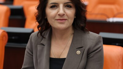 CHP Mersin Milletvekili Gülcan Kış, Türkiye Büyük Millet Meclisi Genel