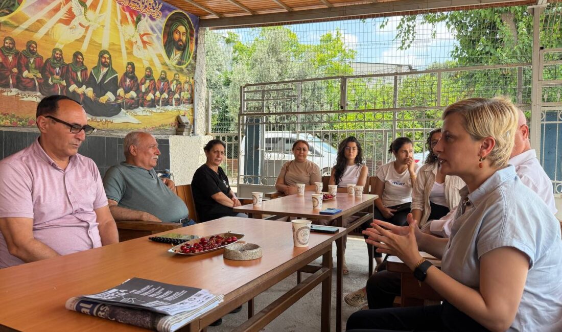 Toplumsal Özgürlük Partisi Sözcüler Kurulu üyesi ve Mersin Milletvekili Perihan