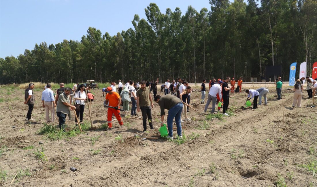 Tarsus Üniversitesi ile Mersin Orman Bölge Müdürlüğü arasında imzalanan ağaçlandırma