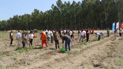 Tarsus Üniversitesi ile Mersin Orman Bölge Müdürlüğü arasında imzalanan ağaçlandırma