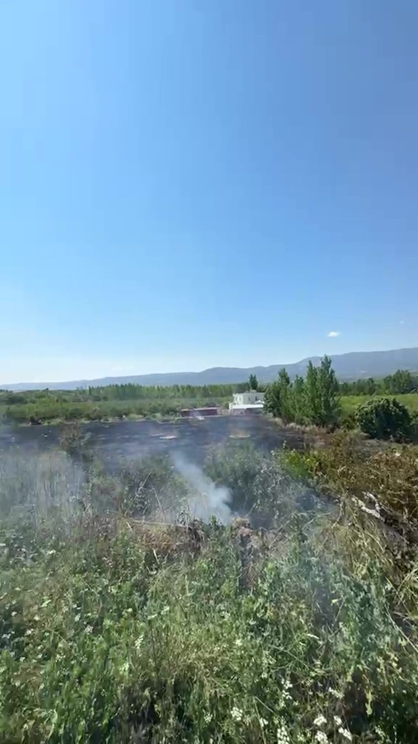 Mersin Mut’ta yangın: 15 dönüm bahçe zarar gördü
