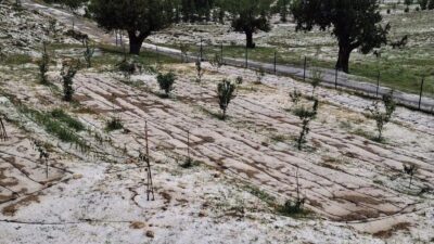 Mersin’in Erdemli ilçesinde yüksek rakımlı mahallelerde dolu etkili oldu, tarım