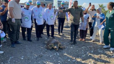 Mersin‘de nesli tehlike altında olduğu için koruma altında olan 1