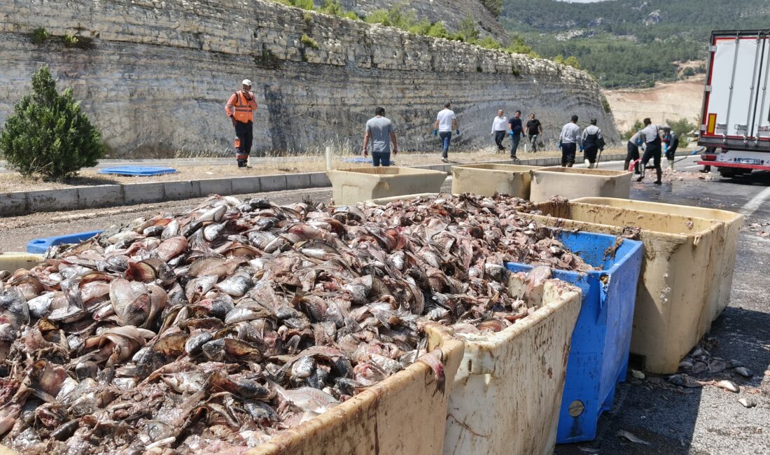 Seyir halindeki tırın dorsesi patladı, 15 ton balık atığı yola saçıldı Mersin’in Silifke ilçesinde balık atığı taşıyan bir tırın dorsesinin patlaması