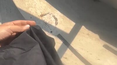 Mersin’in Mezitli ilçesinde çocuğu havuzdayken tesettürlü mayoyla havuza alınmayan anne,