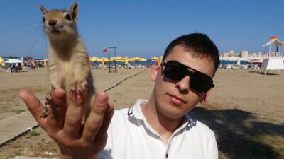 Türkiye’nin önemli turizm noktalarından Mersin Kızkalesi’ne gelen gençlerin, yaralı bulup