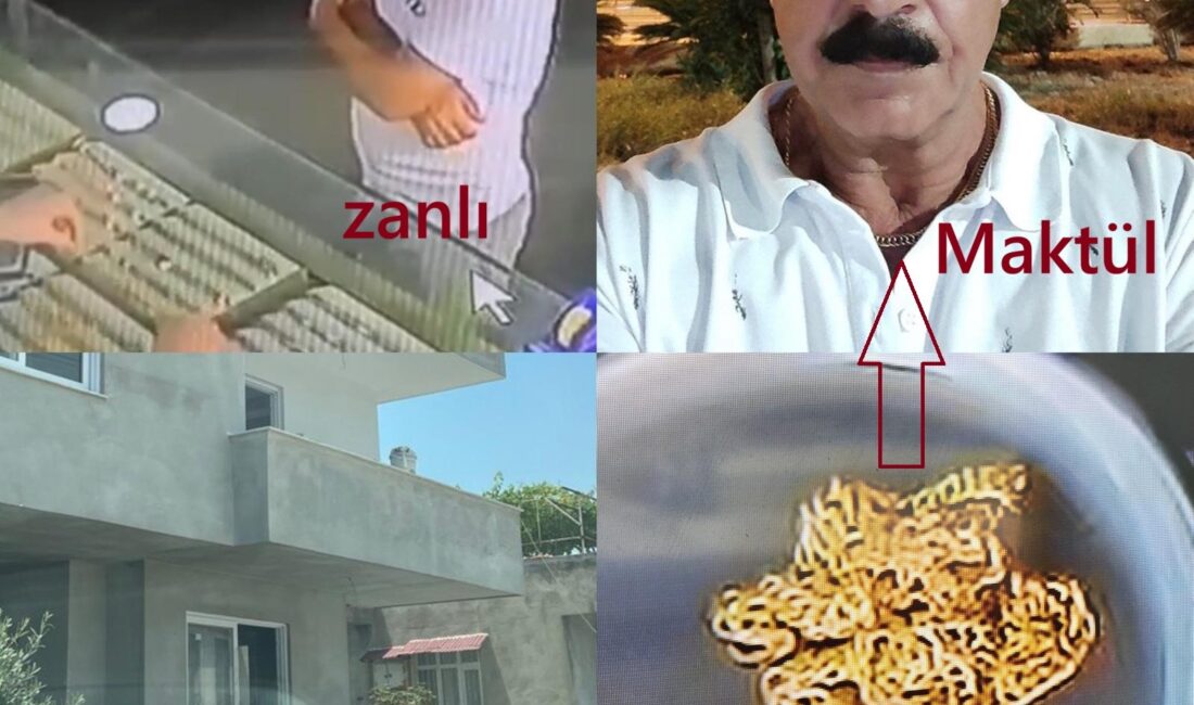 DNA’dan maktul ve katile uzanan hikaye: Cesetsiz cinayette, zanlı 29 yıl ceza aldı Mersin’de jandarma dedektifleri, öldürüldüğü değerlendirilen şahsın kimliğini DNA’dan soy bağına