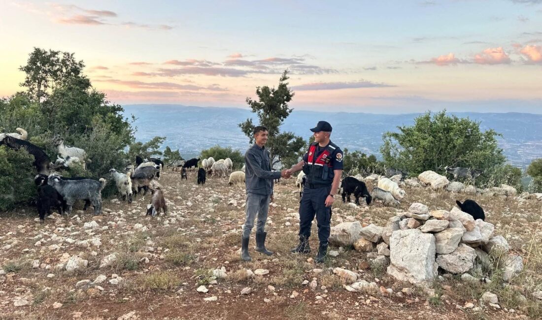 Mersin‘de kayıp 40 küçükbaş, jandarmanın dron destekli çalışmasıyla bulunarak sahibine