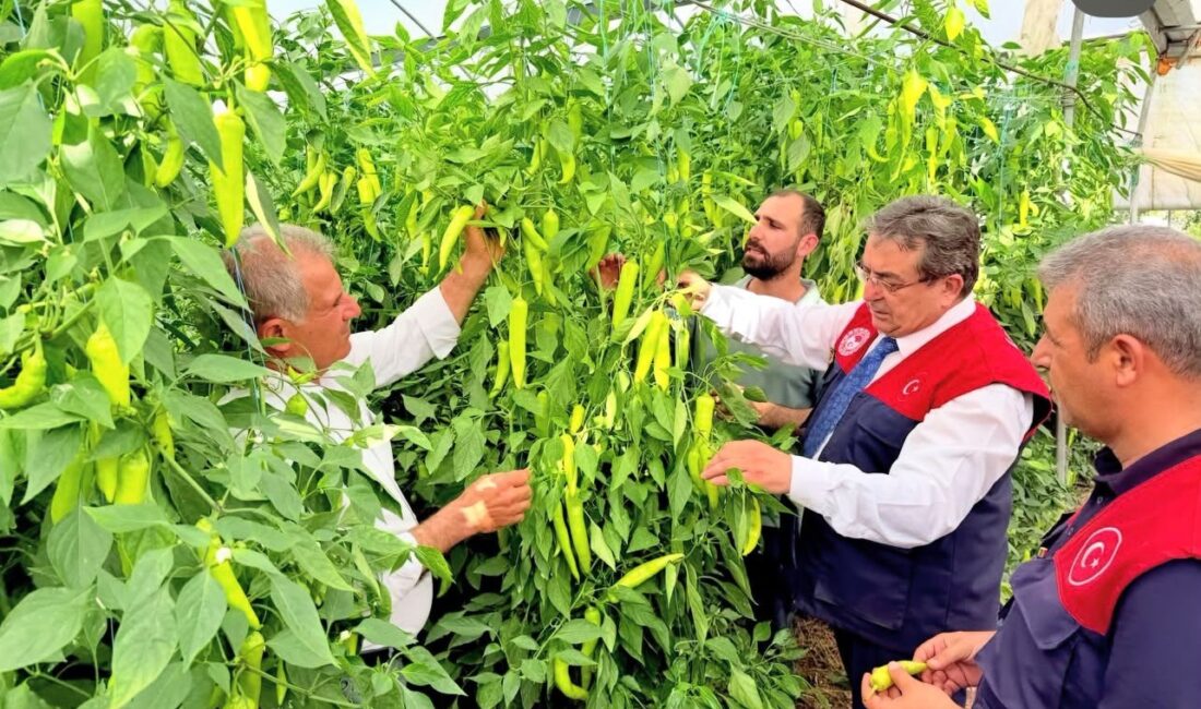 Mersin İl Tarım ve Orman Müdürü Erdem Karadağ ile Akdeniz İlçe