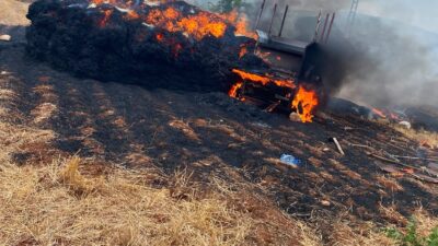 Mersin’in Tarsus ilçesine bağlı Topaklı Mahallesi’nde harman çalışması sırasında çıkan