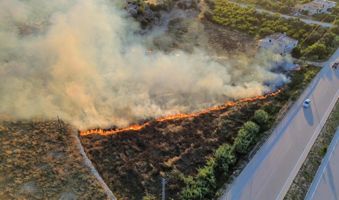 Mersin’in Mut ilçesinde bahçede çıkan yangın, evlere ve ormanlık alana