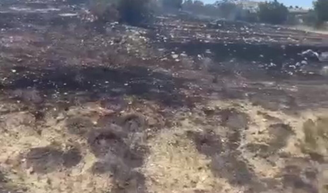 Mersin’in Mut ilçesinde çıkan yangın ekiplerin müdahalesiyle kontrol altına alınarak