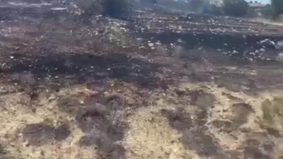 Mersin’in Mut ilçesinde çıkan yangın ekiplerin müdahalesiyle kontrol altına alınarak