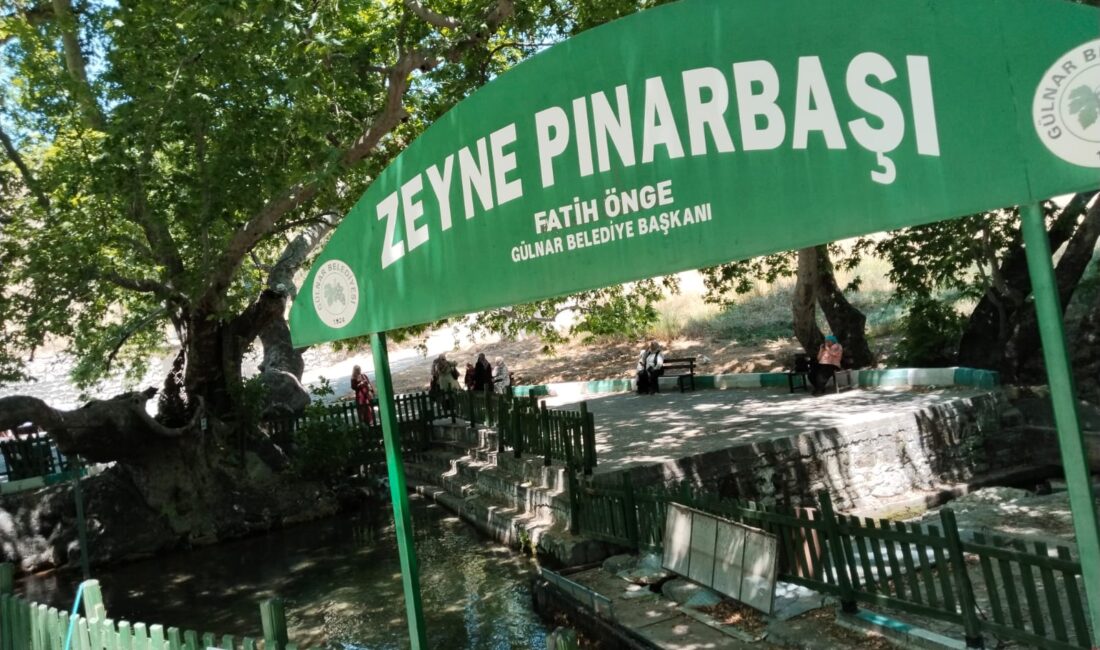 ZEYNE MESİRE ALANINA YOĞUN İLGİ Mersin’in Gülnar ilçesine bağlı Zeyne Beldesi’nde bulunan Pınarbaşı Mesire Alanına