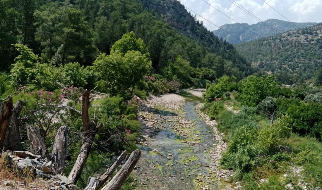 Dere yatakları yıllar sonra derede akan suyu gördü. Son yıllarda
