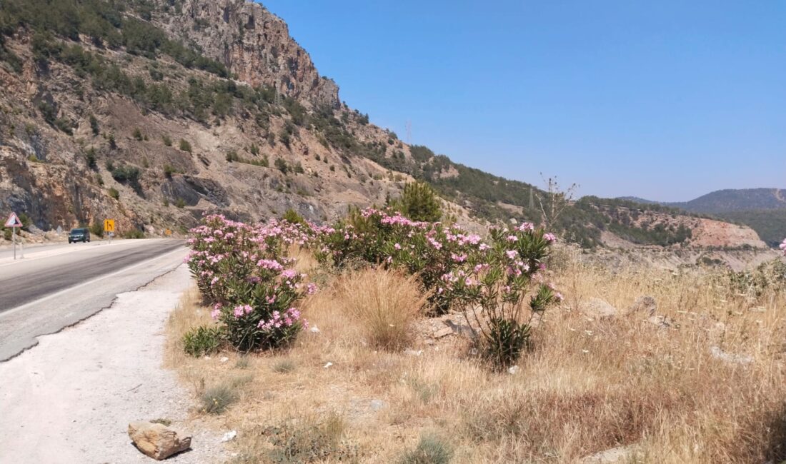 Yaz aylarına girilmesi nedeniyle olası orman yangınlarına karşı,   ormanlık
