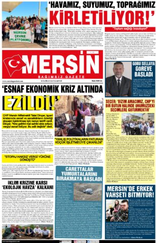 Yayın