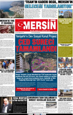 Yayın