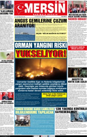 Yayın