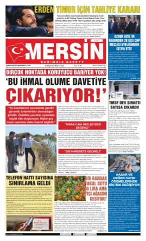 Yayın