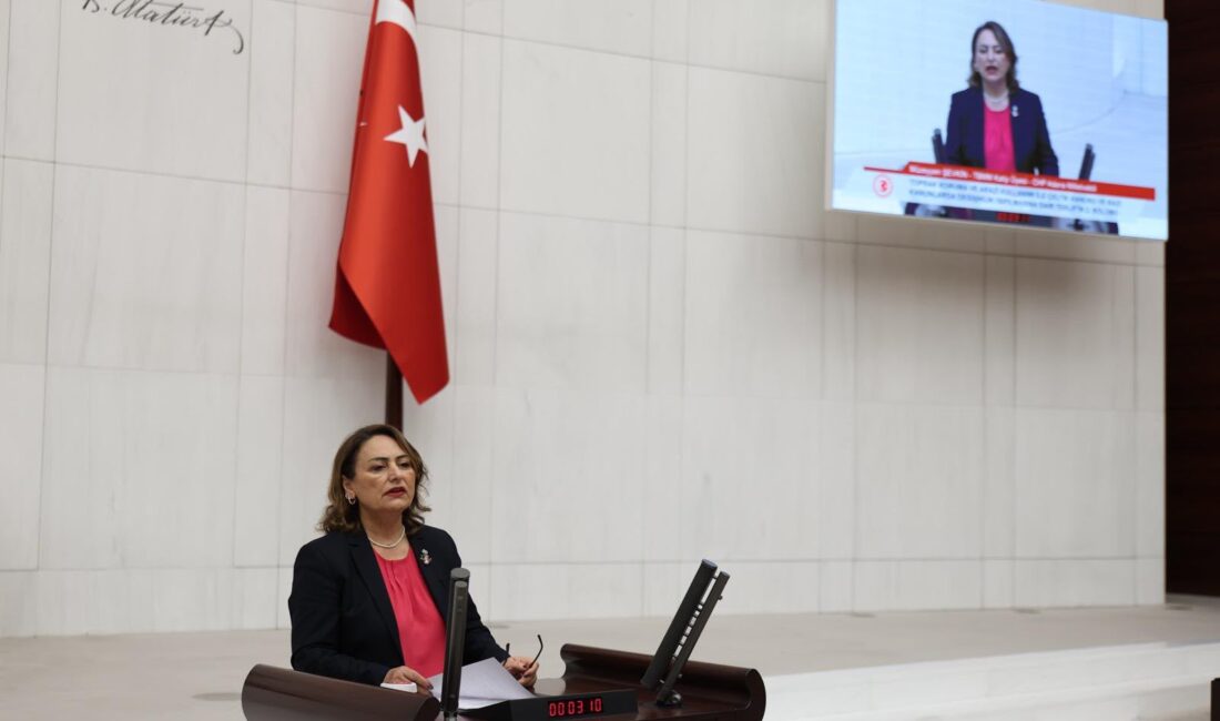 ‘BİR BARDAK PORTAKAL SUYU 200-400 LİRA AMA ÇİFTÇİ AĞACINI KESİYOR!’ CHP Adana Milletvekili, TBMM Başkanlık Divanı Üyesi Dr. Müzeyyen Şevkin,