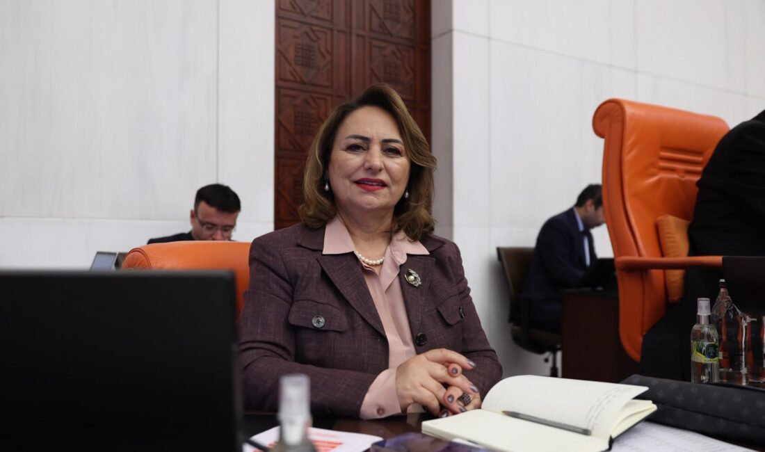 “İktidar, yönünü Adana’ya dönmüyor!” CHP Adana Milletvekili, TBMM Başkanlık Divanı Üyesi Dr. Müzeyyen Şevkin,