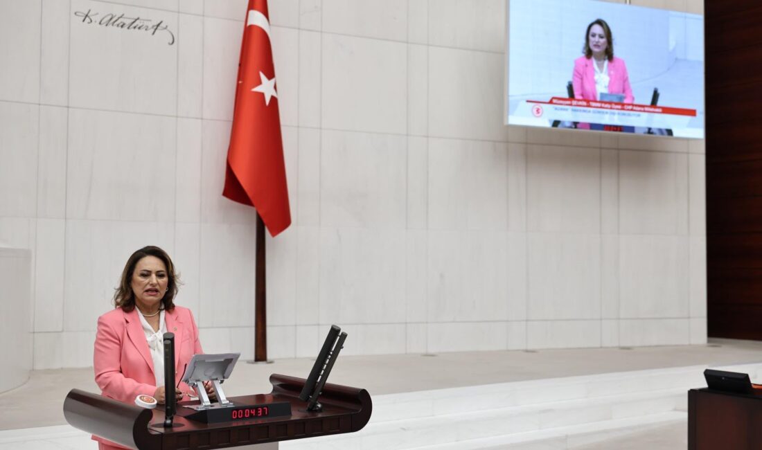 CHP Adana Milletvekili, TBMM Başkanlık Divanı Üyesi Dr. Müzeyyen Şevkin,