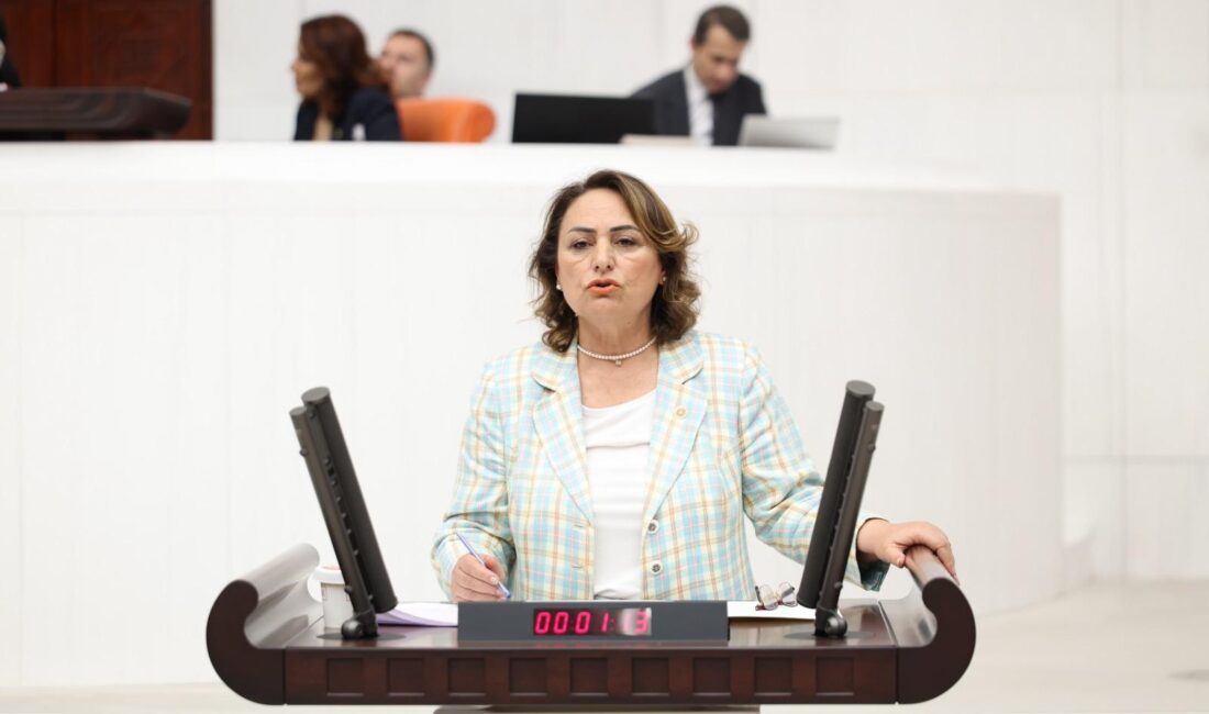 CHP Adana Milletvekili, TBMM Başkanlık Divanı Üyesi Dr. Müzeyyen Şevkin,
