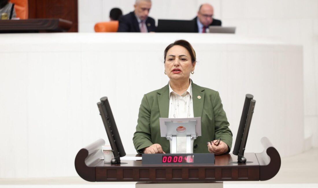 CHP Adana Milletvekili, TBMM Başkanlık Divanı Üyesi Dr. Müzeyyen Şevkin,