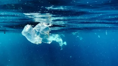 Akdeniz’de mikroplastik alarmı: “Bu bir halk sağlığı krizidir”