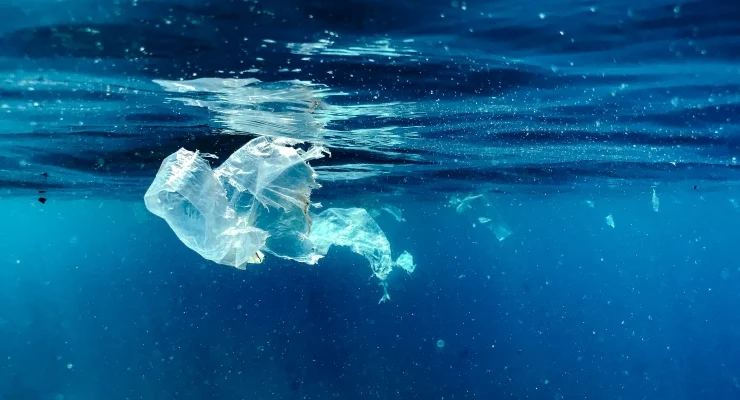 Akdeniz’de mikroplastik alarmı: “Bu bir halk sağlığı krizidir”