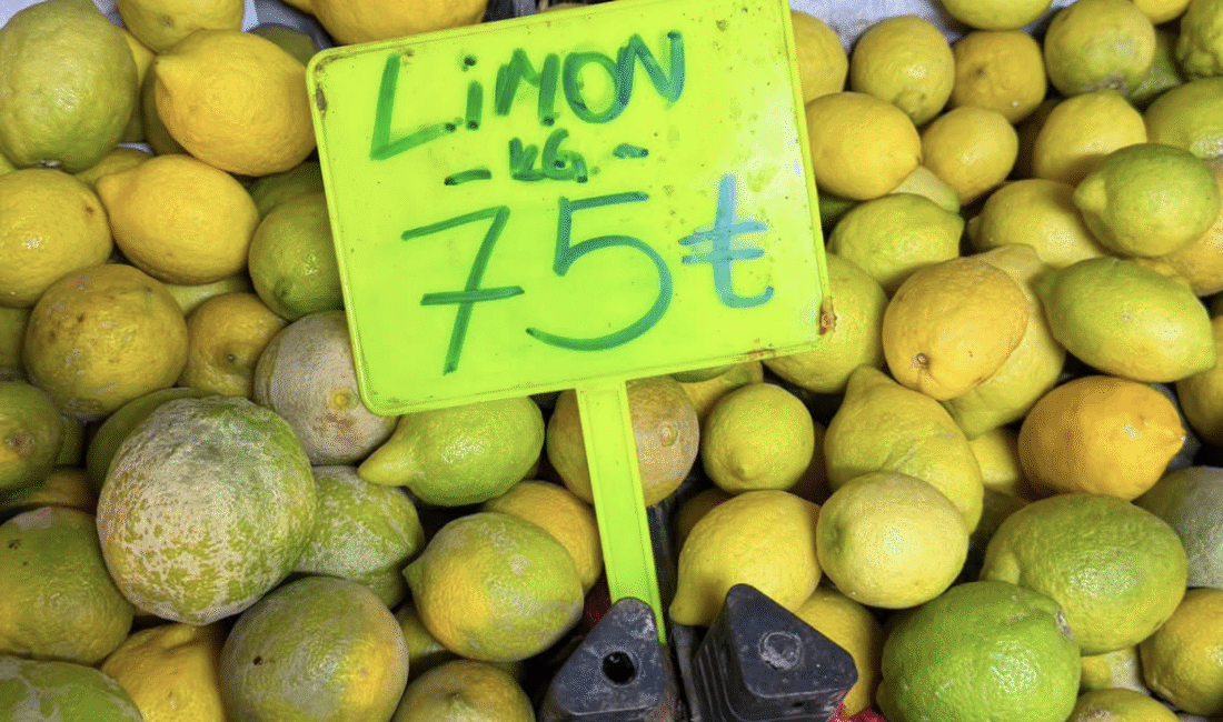 Türkiye’nin limon üretiminde başı çeken kentlerinden Mersin’de fiyatlar dikkat çekici