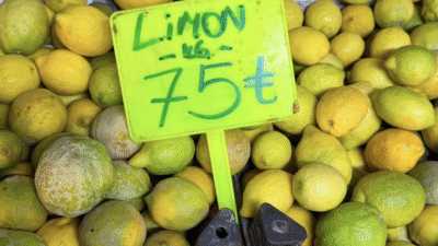 Türkiye’nin limon üretiminde başı çeken kentlerinden Mersin’de fiyatlar dikkat çekici