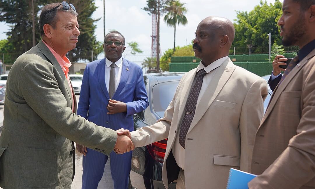 Sudan Kuzey Eyaleti Valisi Tümgeneral Rukn Abdulrahman Abdelhamid Ibrahim, Sudan