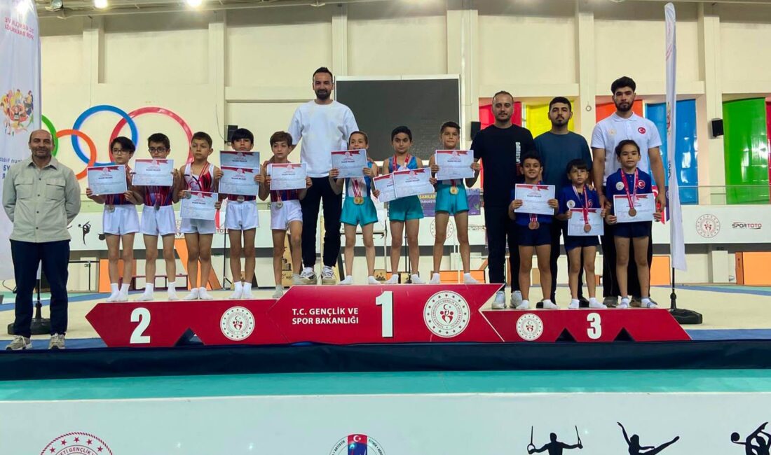 ANALİG Cimnastikte Büyük Heyecan Mersin’de Yaşandı 6-8 Temmuz 2026 tarihleri arasında Mersin Olimpik Cimnastik Salonu’nda düzenlenen
