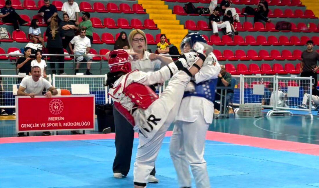 9-12 Temmuz tarihleri arasında düzenlenen Anadolu Yıldızlar Ligi (ANALİG) Taekwondo