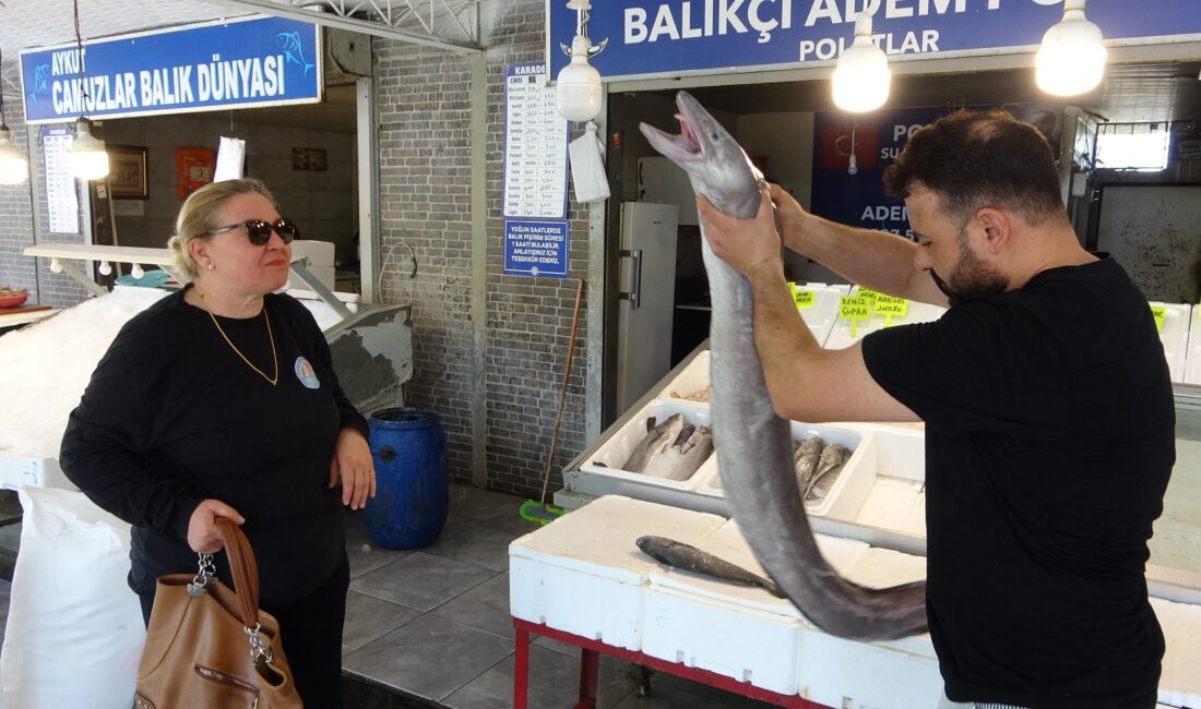 Mersin’de dev yılan balığı tezgahta ilgi odağı oldu Mersin‘de balıkçı tezgahında sergilenen yaklaşık 2 metre uzunluğunda ve 20