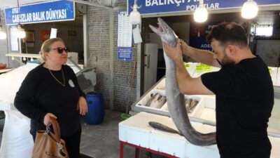 Mersin‘de balıkçı tezgahında sergilenen yaklaşık 2 metre uzunluğunda ve 20